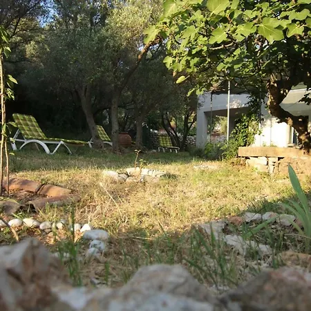 Krista * Miholascica